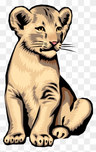 Vector Illustration Of Big Cat African Lion Cub - Realistic Lion Cub Clip Art - Png Download
