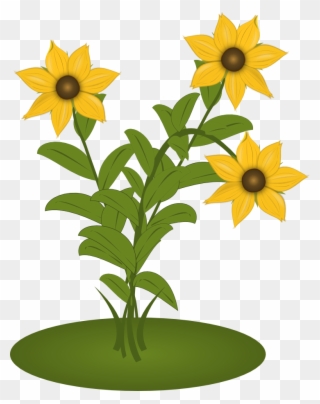 Black Eyed Susans - Sunflower Clipart