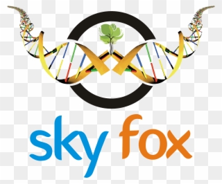 Skyfox Publishing Group Clipart