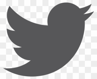 2018 © The Affair • An Occasional Discussion On Society, - Grey Twitter Logo No Background Clipart