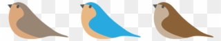Birds, Digital Illustration, Easter - Illustration Clipart
