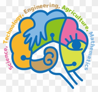 Interdisciplinary Study Of Steam Education Curricula Clipart