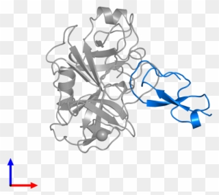 <div Class='caption-body'>pdb Entry 1co7 Contains 1 - Illustration Clipart