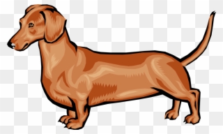Vector Image Illustration Of - Dachshund.png Shower Curtain Clipart