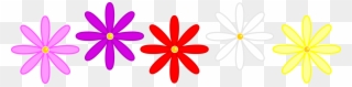 Flower Multi Chain - Invisalign Certified Provider Clipart