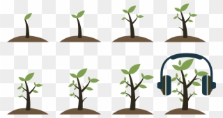 7, 2018, Noon - Growing Up Leaf Clipart