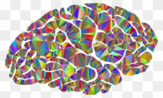 Human Brain Neuroimaging Neuroscience - Brain Neuroimaging Clipart