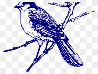 Blue Jay Clipart Vector Maya Bird Maya Black And White Png Download Pinclipart