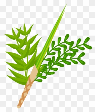 Sukkot Png Clipart