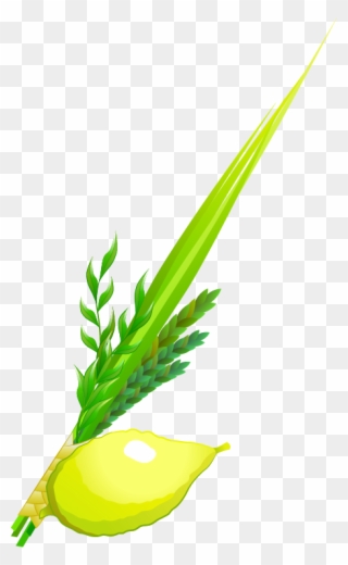 Gematria Words - Sukkot - Illustration Clipart