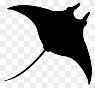 Manta Ray Transparent Icon Clipart