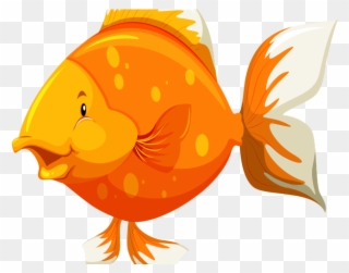 Gold Fish Clipart Under Sea - Parts Of The Body Of Fish - Png Download