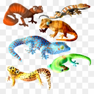 Gargoyle Gecko Art Clipart