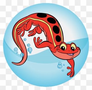 Salamander - Jewish Salamander Clipart
