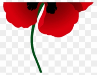 Poppy Clipart Red Poppy - Memorial Day - Png Download