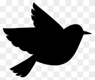 Info - Bird Peace Clipart