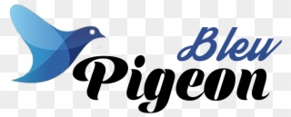 Pigeon Bleu - Pigeons And Doves Clipart