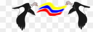 Condor Colombiano - Clip Art - Png Download