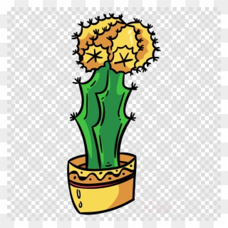 Cactus Clipart Flowering Plant Echinopsis Oxygona - Cactus - Png Download