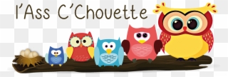 L'ass C'chouette - Little Owl Clipart