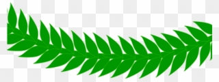 Fern Clipart Daun - Logo - Png Download