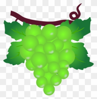 Grape Berry Poland Muscat Raceme - Grape Clipart