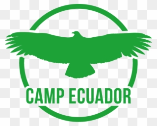 Fundraising Friday Star Sasha - Camps International Ecuador And Peru 2017 Clipart