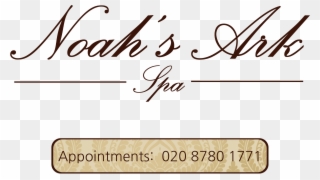 Noah's Ark Spa - New Jersey Clipart