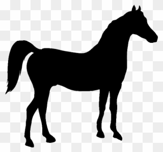 Shadow Of A Horse Clipart