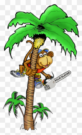 Monkey In Coconut Tree Clipart