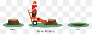 Tree Stump Removal - Stump Grinder Clipart - Png Download
