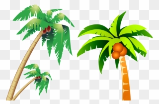 Tropical Coconut Tree Picture - ต้น มะพร้าว 3 ต้น การ์ตูน Clipart