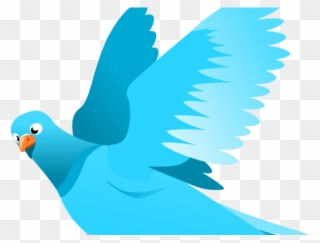 Sky Clipart Bird - Bird Flying Clipart Png Transparent Png