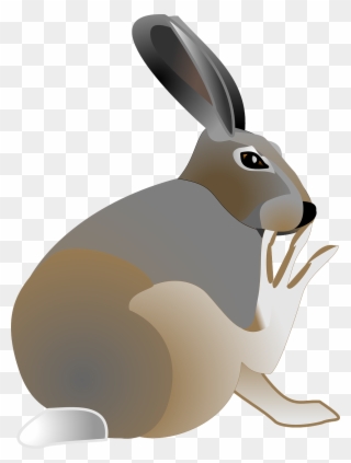 Rabbit Free Vector - Hare Clipart - Png Download