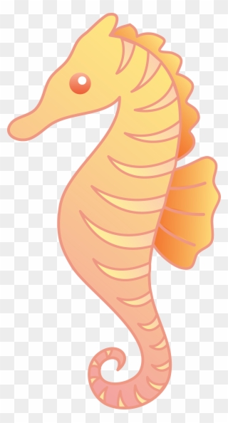 Orange Clipart Seahorse Pencil And In Color - Clip Art Of Sea Horses - Png Download