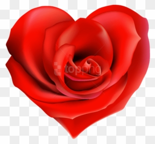 Heart Decorations, Heart Images, Heart Pictures, Hearts - Arreglos Florales Con Frases De Amor Clipart