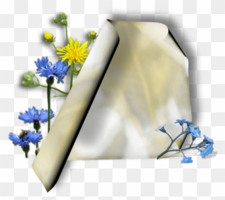 Parchemins - Flower Clipart