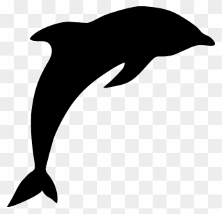 No Clipart - Common Bottlenose Dolphin - Png Download