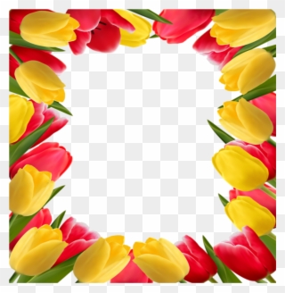 Mq Flowers Flower Frames Border Borders - Tulip Flower Page Border Clipart