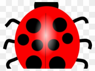 Drawn Lady Beetle Clipart - Lady Birdclip Art - Png Download