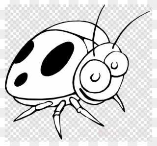 Download Ladybug Cartoon Black And White Clipart Little - Orange Bugs Cartoon - Png Download