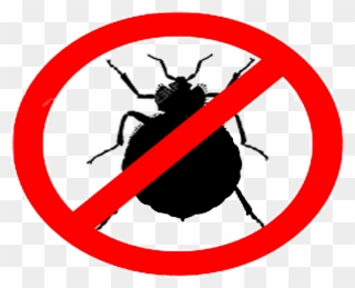 Bed Bugs Clipart