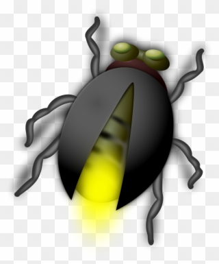 Attacked By Fireflies - Bug Clip Art - Png Download
