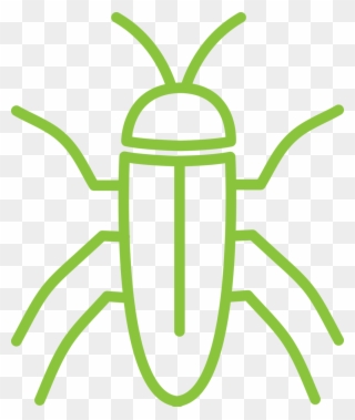 Why You Might Have Cockroaches - House Clipart