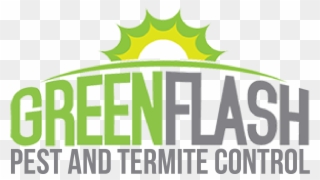 Termite Clipart