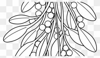 Christmas Colouring Pages Holly With Coloring Mistletoe - Mistletoe Colouring Pages Clipart