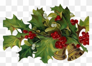 Holley Clipart Victorian - Christmas Holly 5'x7'area Rug - Png Download