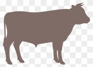 Wondering About Our Current Selection Of Livestock - Farm Fresh Beef Clipart