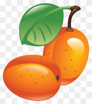 Download - Sea Buckthorn Icon Clipart