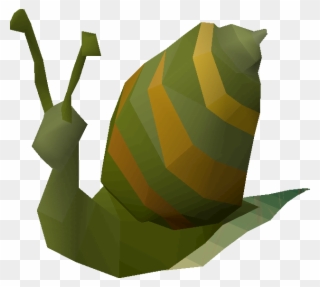 Snail Trail Png Png Library Download - Runescape Snail Clipart